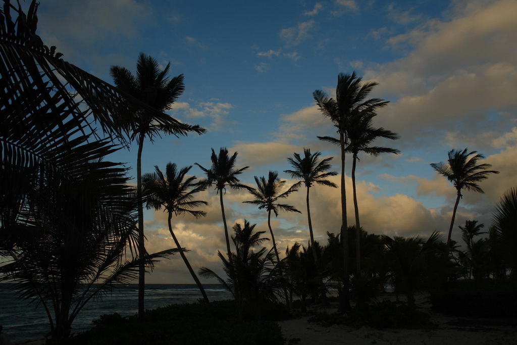   (Pelican Cove Beach   Hibiscus beach).